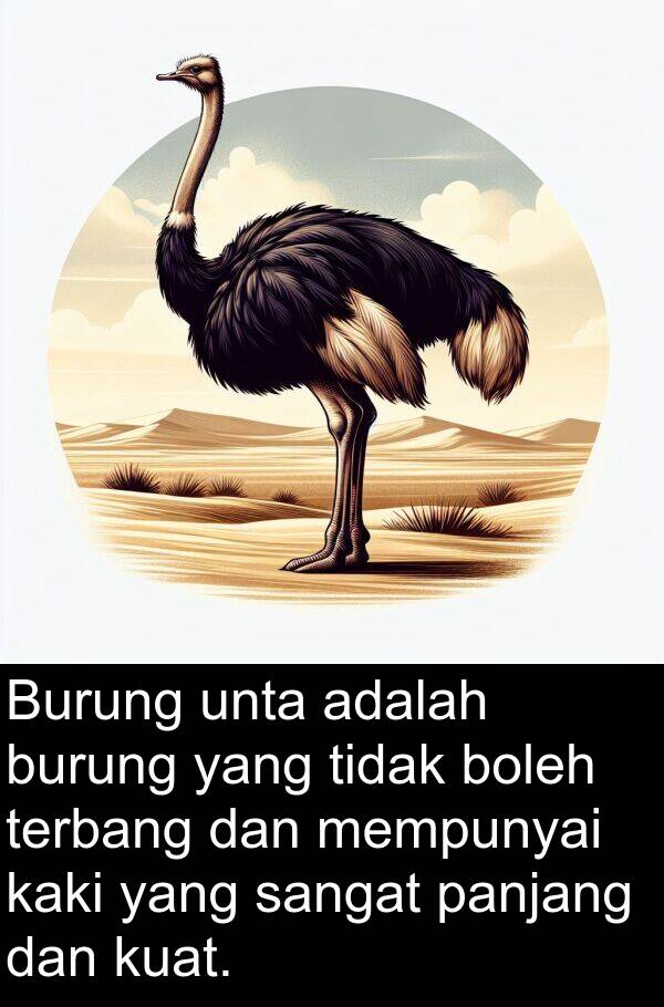panjang: Burung unta adalah burung yang tidak boleh terbang dan mempunyai kaki yang sangat panjang dan kuat.
