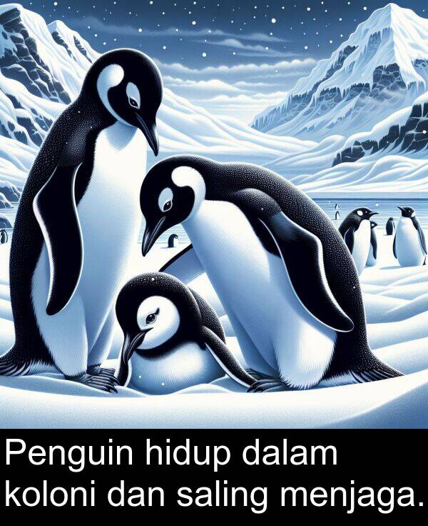 dalam: Penguin hidup dalam koloni dan saling menjaga.