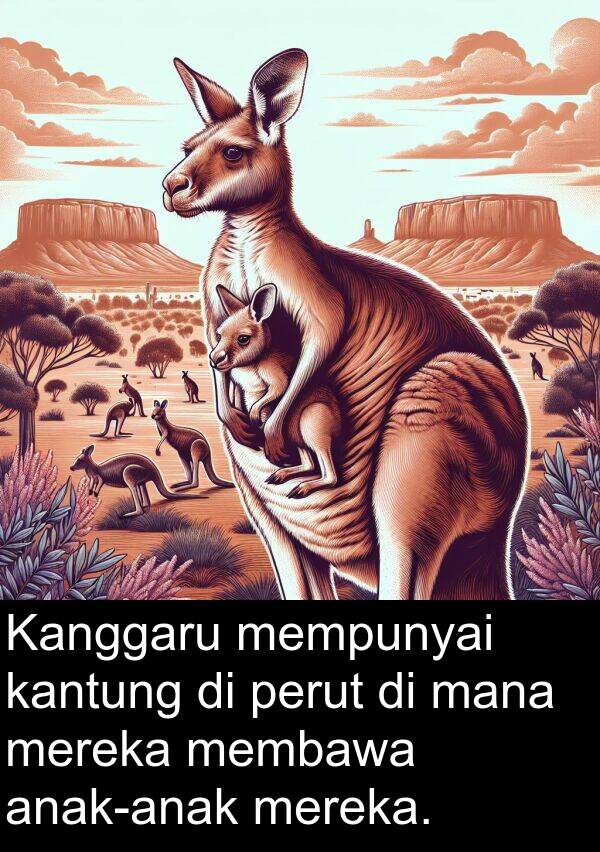 perut: Kanggaru mempunyai kantung di perut di mana mereka membawa anak-anak mereka.