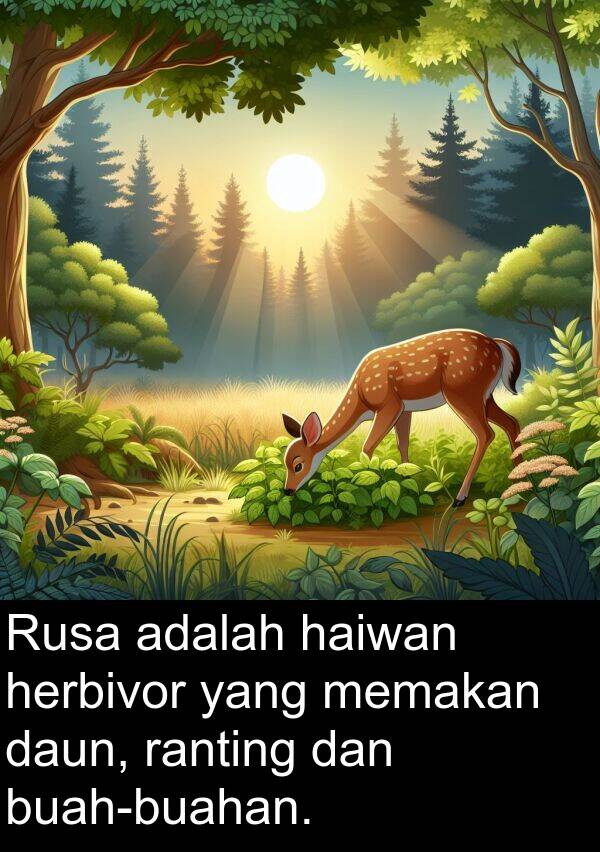 ranting: Rusa adalah haiwan herbivor yang memakan daun, ranting dan buah-buahan.