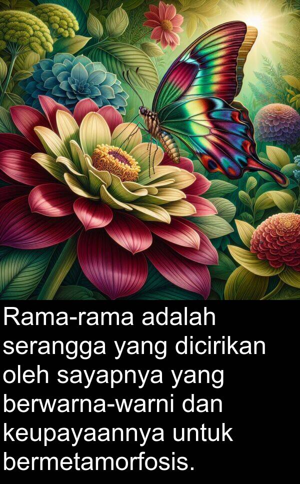 keupayaannya: Rama-rama adalah serangga yang dicirikan oleh sayapnya yang berwarna-warni dan keupayaannya untuk bermetamorfosis.