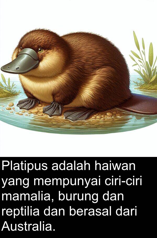 reptilia: Platipus adalah haiwan yang mempunyai ciri-ciri mamalia, burung dan reptilia dan berasal dari Australia.