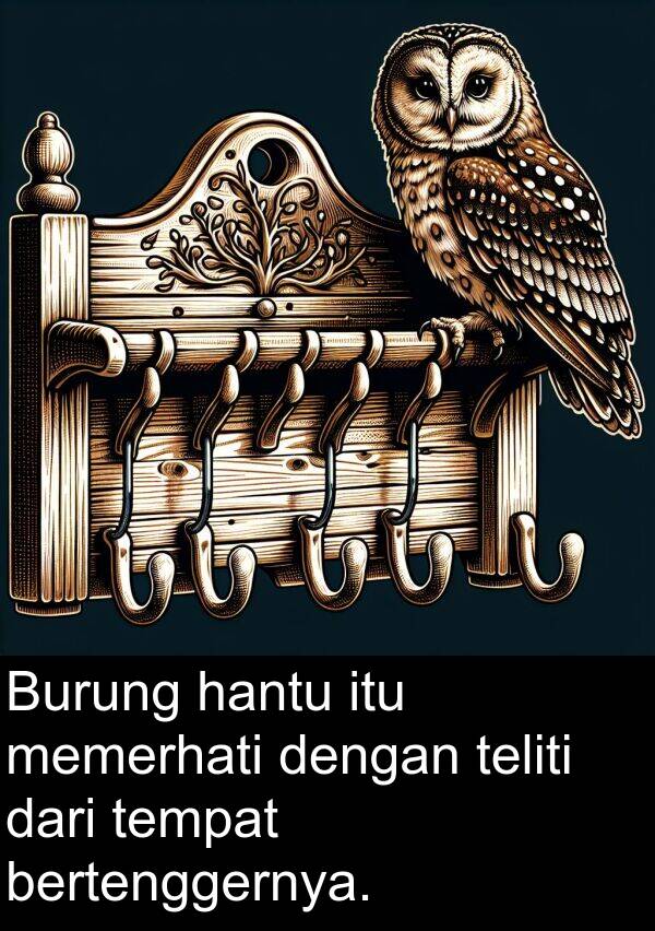 bertenggernya: Burung hantu itu memerhati dengan teliti dari tempat bertenggernya.