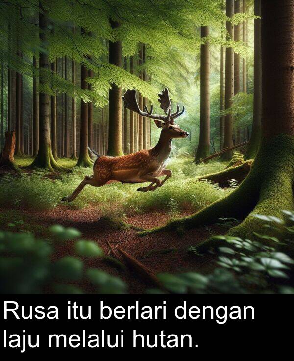 dengan: Rusa itu berlari dengan laju melalui hutan.