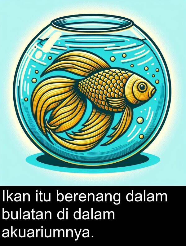 akuariumnya: Ikan itu berenang dalam bulatan di dalam akuariumnya.