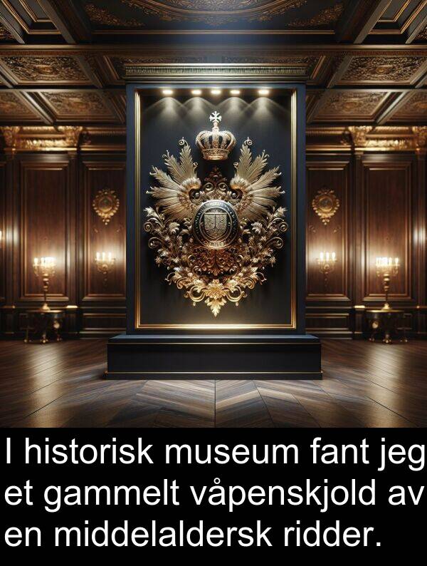 gammelt: I historisk museum fant jeg et gammelt våpenskjold av en middelaldersk ridder.