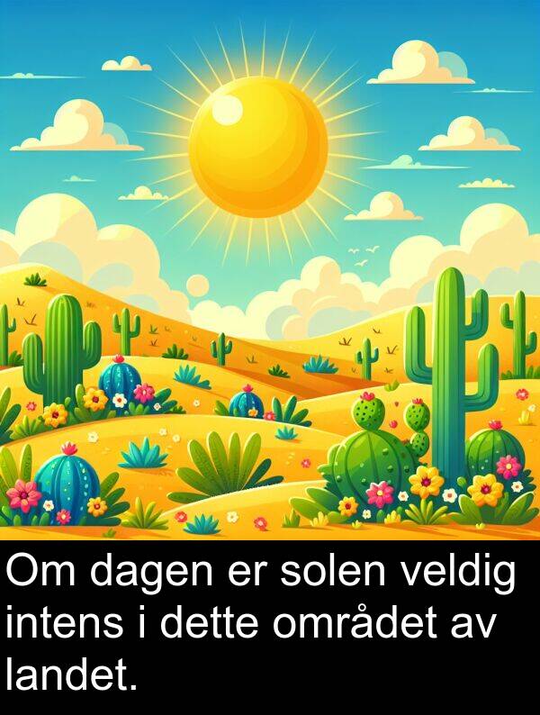 dagen: Om dagen er solen veldig intens i dette området av landet.