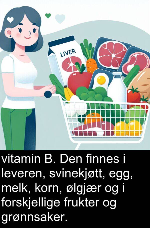 ølgjær: vitamin B. Den finnes i leveren, svinekjøtt, egg, melk, korn, ølgjær og i forskjellige frukter og grønnsaker.
