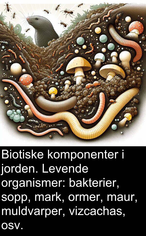 organismer: Biotiske komponenter i jorden. Levende organismer: bakterier, sopp, mark, ormer, maur, muldvarper, vizcachas, osv.