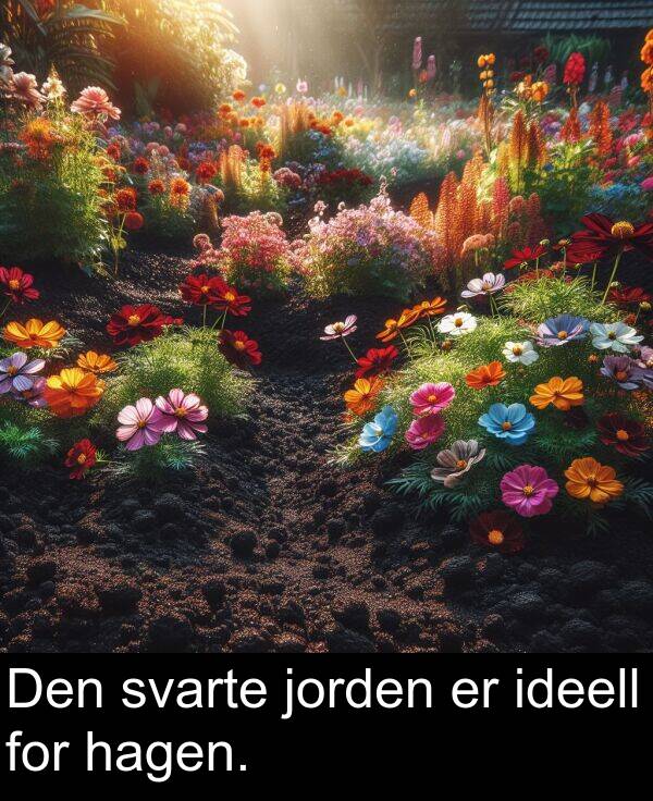 jorden: Den svarte jorden er ideell for hagen.