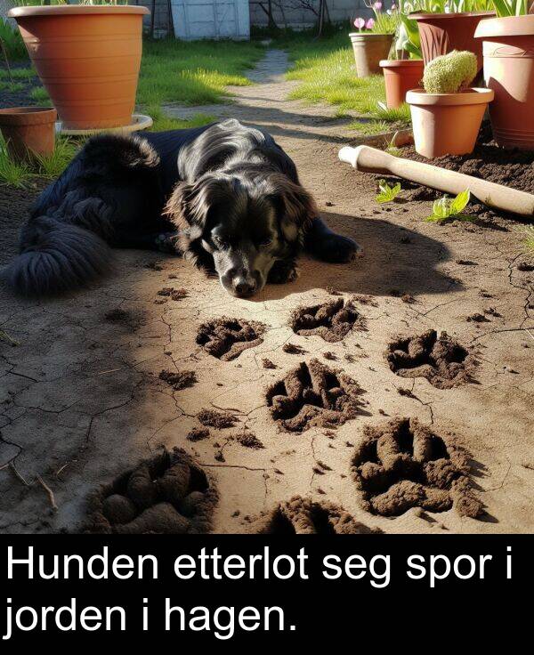etterlot: Hunden etterlot seg spor i jorden i hagen.