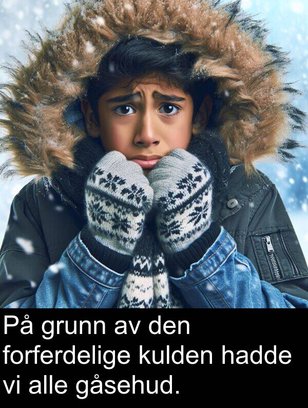 grunn: På grunn av den forferdelige kulden hadde vi alle gåsehud.