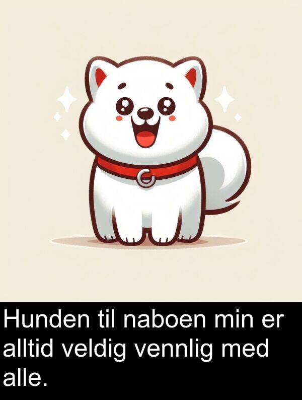 naboen: Hunden til naboen min er alltid veldig vennlig med alle.