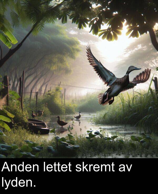 skremt: Anden lettet skremt av lyden.