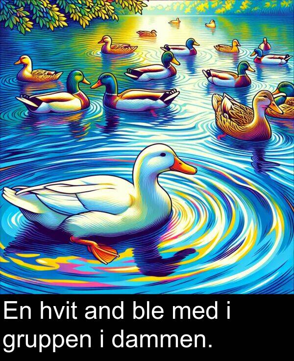 hvit: En hvit and ble med i gruppen i dammen.