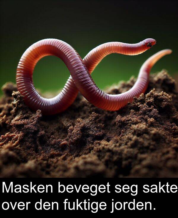 over: Masken beveget seg sakte over den fuktige jorden.