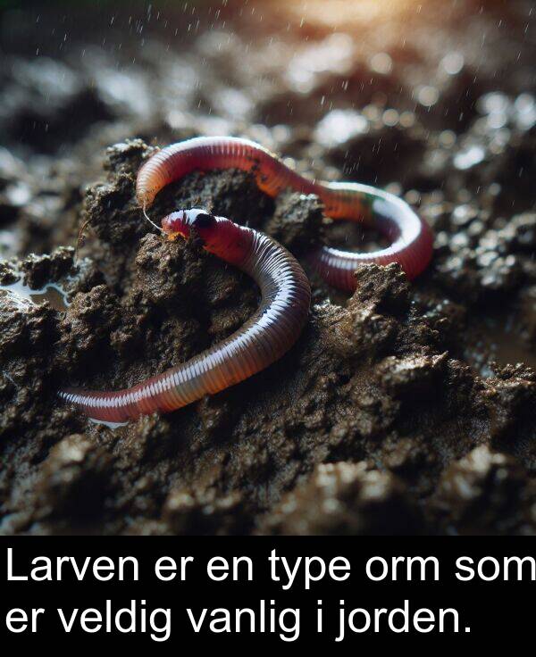 orm: Larven er en type orm som er veldig vanlig i jorden.
