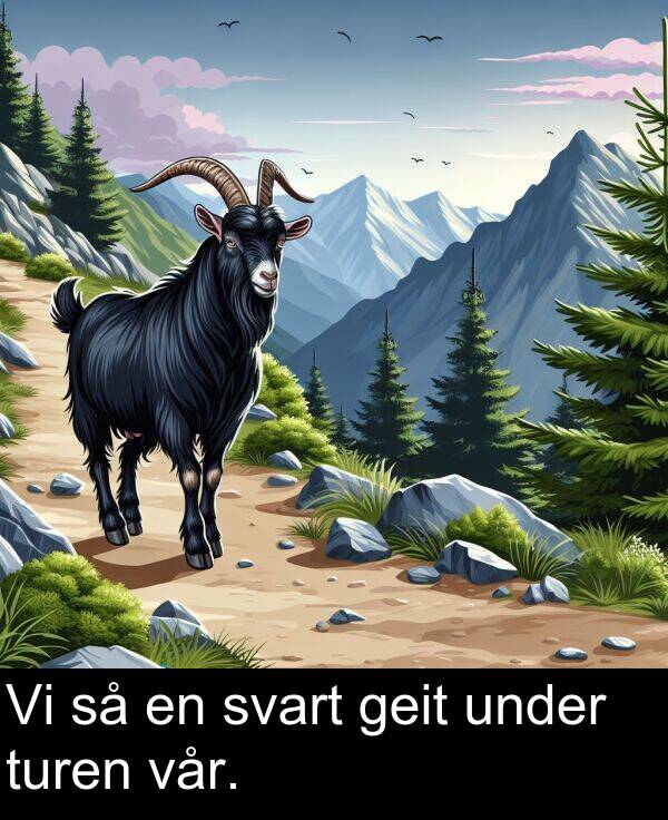 under: Vi så en svart geit under turen vår.