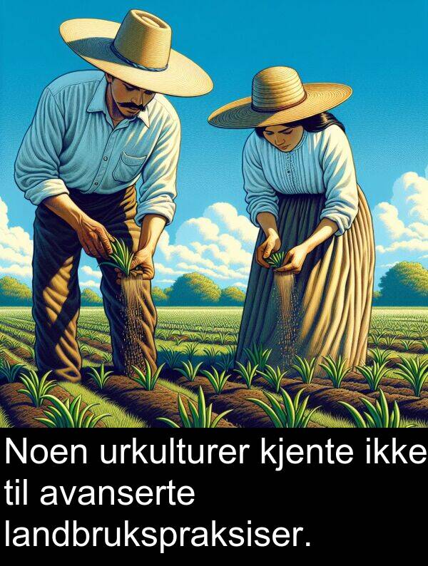 kjente: Noen urkulturer kjente ikke til avanserte landbrukspraksiser.