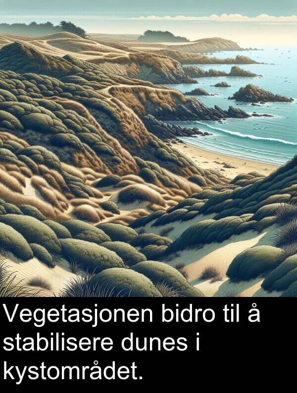 bidro: Vegetasjonen bidro til å stabilisere dunes i kystområdet.