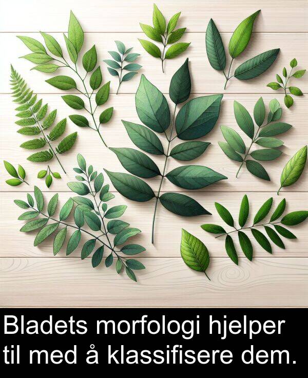 dem: Bladets morfologi hjelper til med å klassifisere dem.