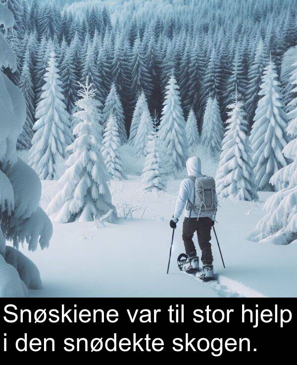 skogen: Snøskiene var til stor hjelp i den snødekte skogen.