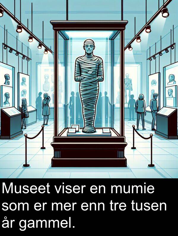 gammel: Museet viser en mumie som er mer enn tre tusen år gammel.