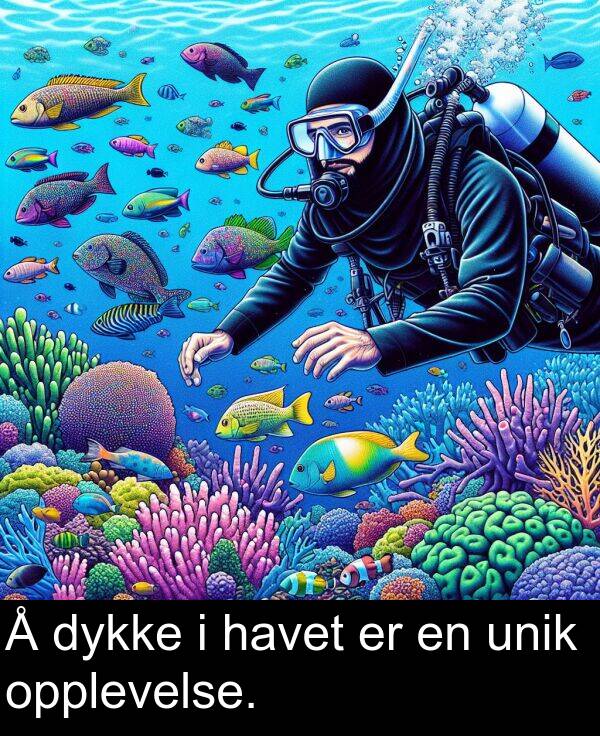 opplevelse: Å dykke i havet er en unik opplevelse.