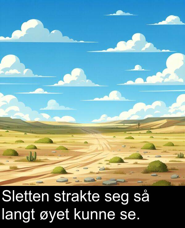 se: Sletten strakte seg så langt øyet kunne se.