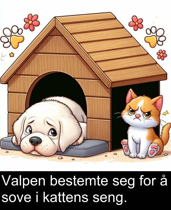 seng: Valpen bestemte seg for å sove i kattens seng.