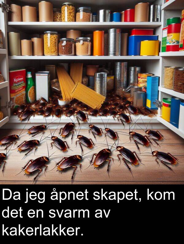 kakerlakker: Da jeg åpnet skapet, kom det en svarm av kakerlakker.