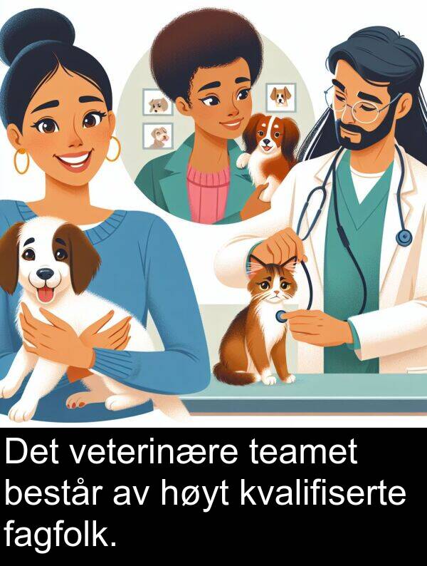 veterinære: Det veterinære teamet består av høyt kvalifiserte fagfolk.