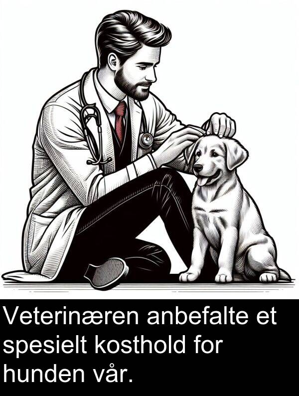 kosthold: Veterinæren anbefalte et spesielt kosthold for hunden vår.