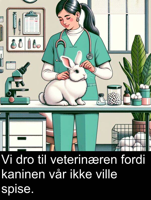 kaninen: Vi dro til veterinæren fordi kaninen vår ikke ville spise.