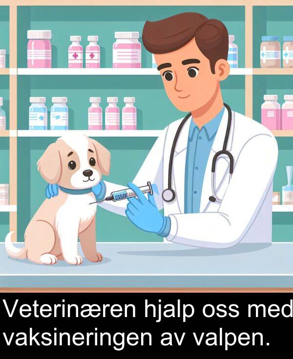 oss: Veterinæren hjalp oss med vaksineringen av valpen.