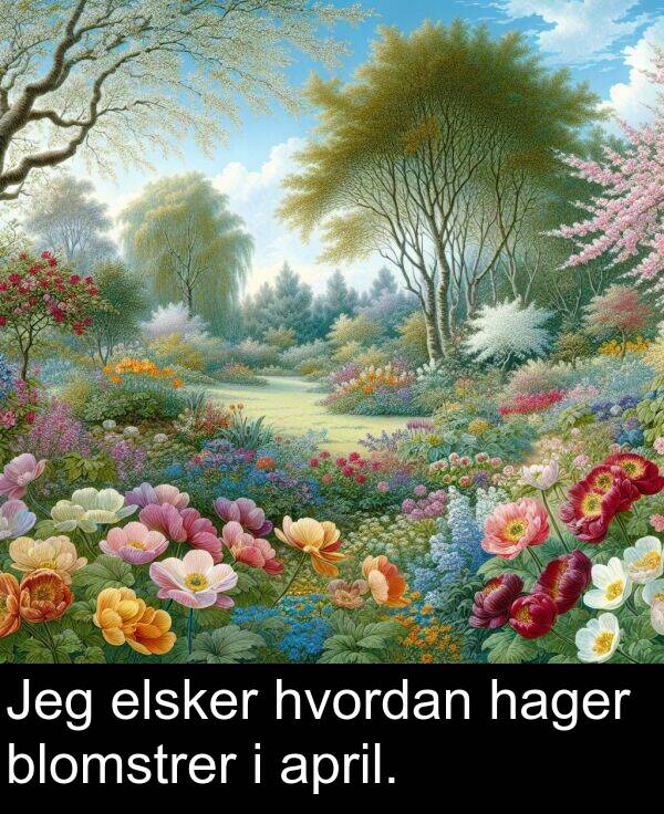 april: Jeg elsker hvordan hager blomstrer i april.