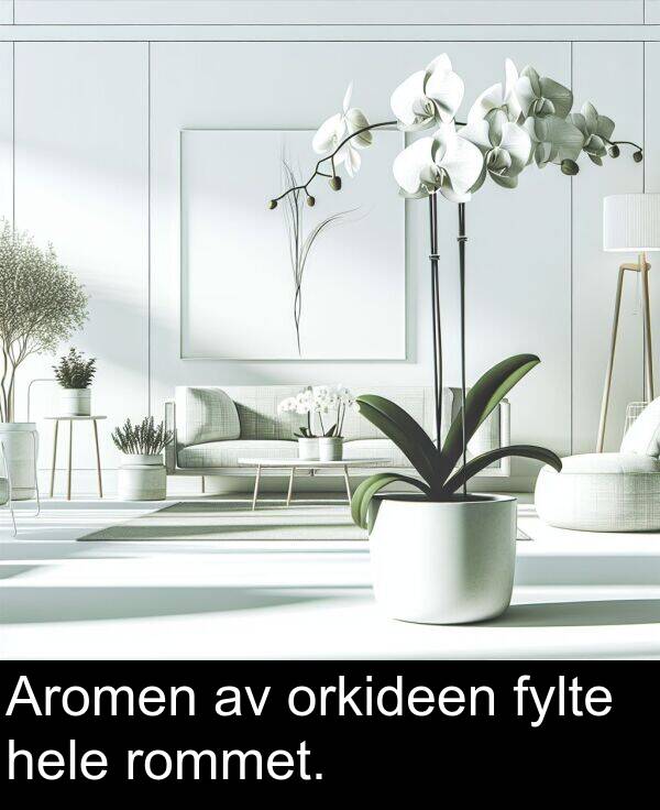 orkideen: Aromen av orkideen fylte hele rommet.
