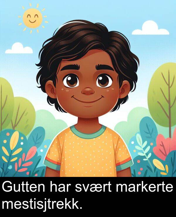mestisjtrekk: Gutten har svært markerte mestisjtrekk.