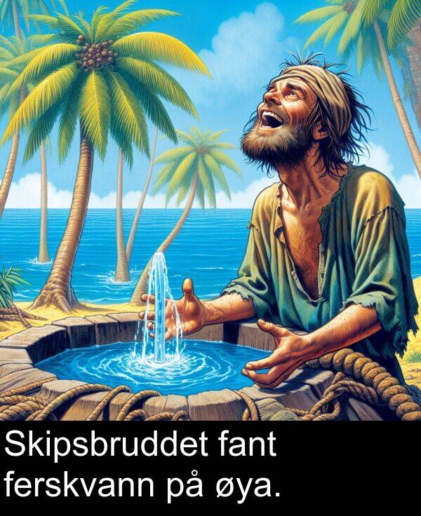 ferskvann: Skipsbruddet fant ferskvann på øya.