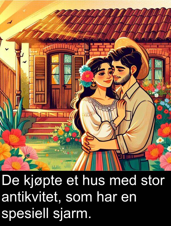 antikvitet: De kjøpte et hus med stor antikvitet, som har en spesiell sjarm.