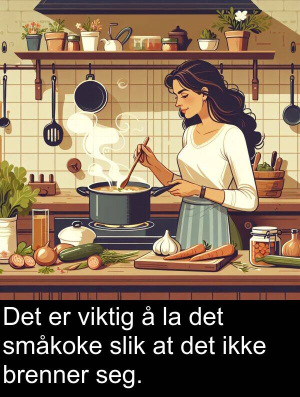slik: Det er viktig å la det småkoke slik at det ikke brenner seg.