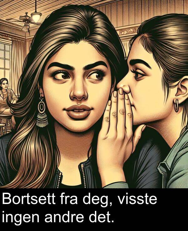 det: Bortsett fra deg, visste ingen andre det.
