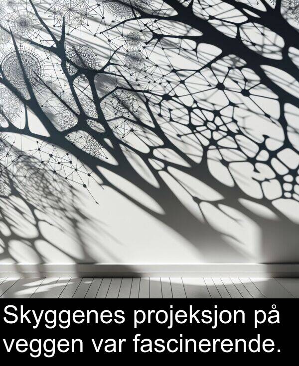 veggen: Skyggenes projeksjon på veggen var fascinerende.