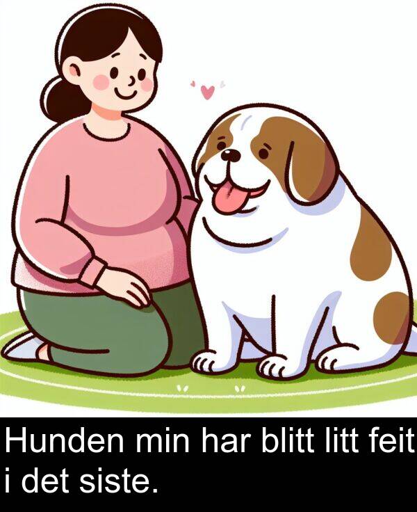 det: Hunden min har blitt litt feit i det siste.