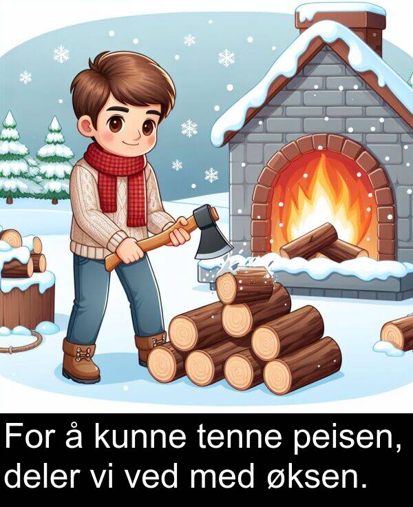 deler: For å kunne tenne peisen, deler vi ved med øksen.