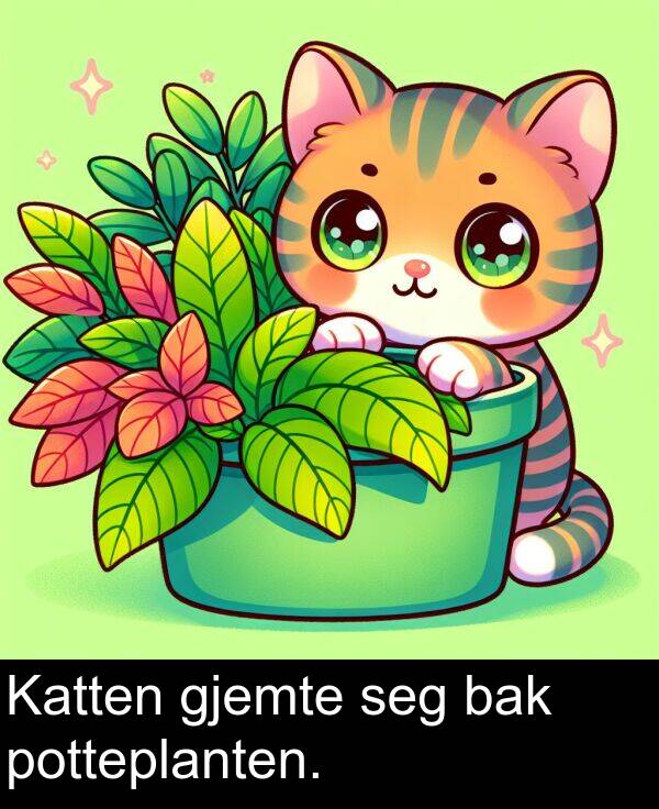 bak: Katten gjemte seg bak potteplanten.