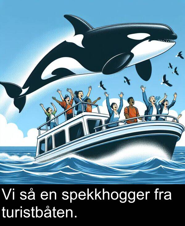 spekkhogger: Vi så en spekkhogger fra turistbåten.