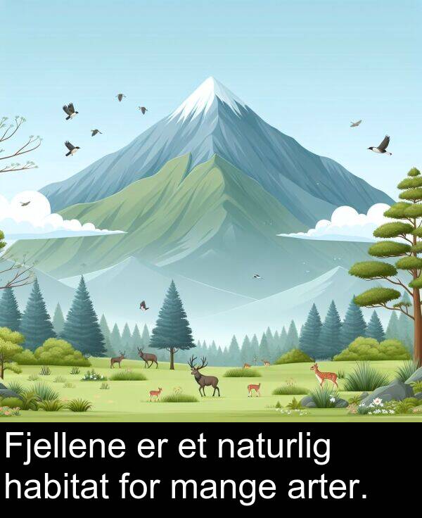 mange: Fjellene er et naturlig habitat for mange arter.