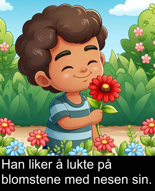 sin: Han liker å lukte på blomstene med nesen sin.