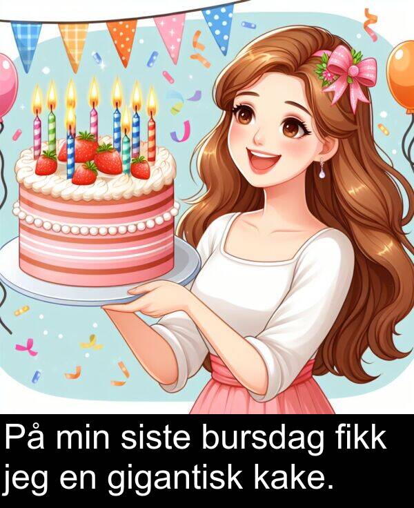 siste: På min siste bursdag fikk jeg en gigantisk kake.